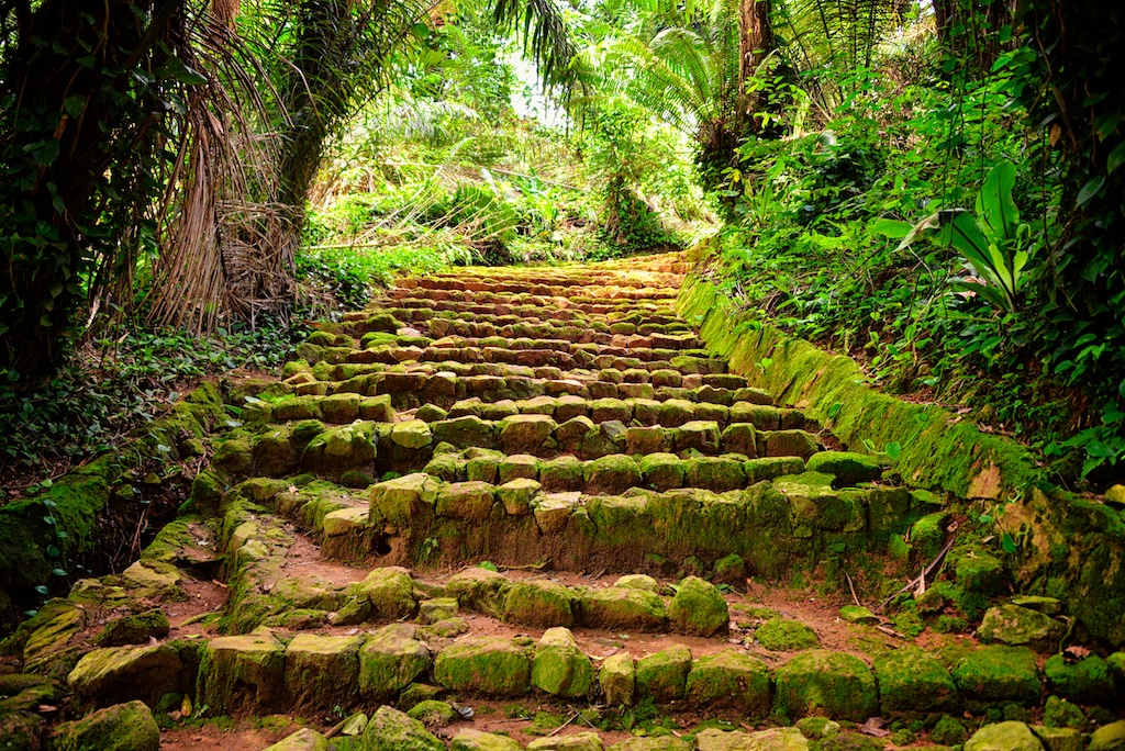 National Botanical Gardens (Uganda)